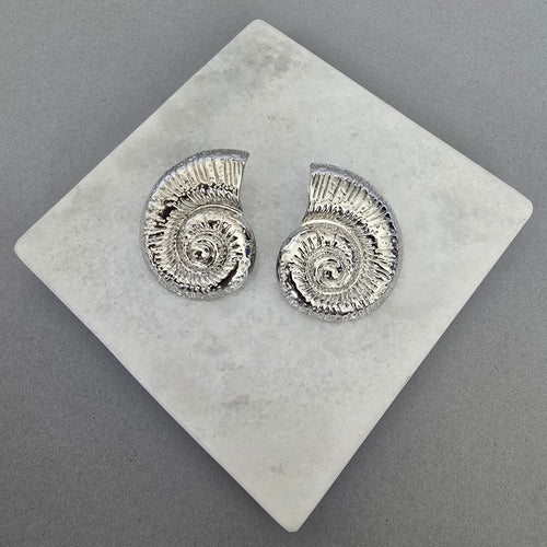 Aretes Caracolas